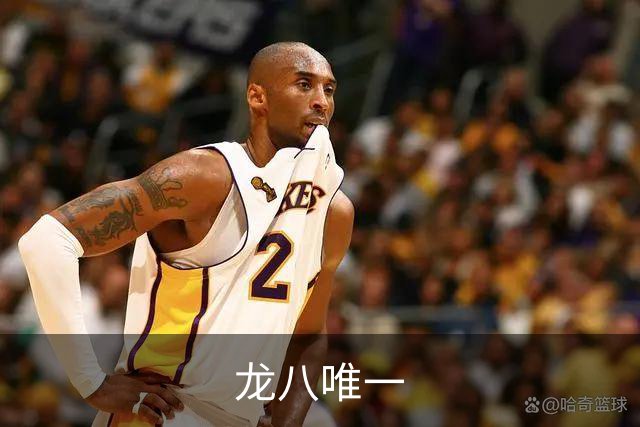 龙八唯一公司简介